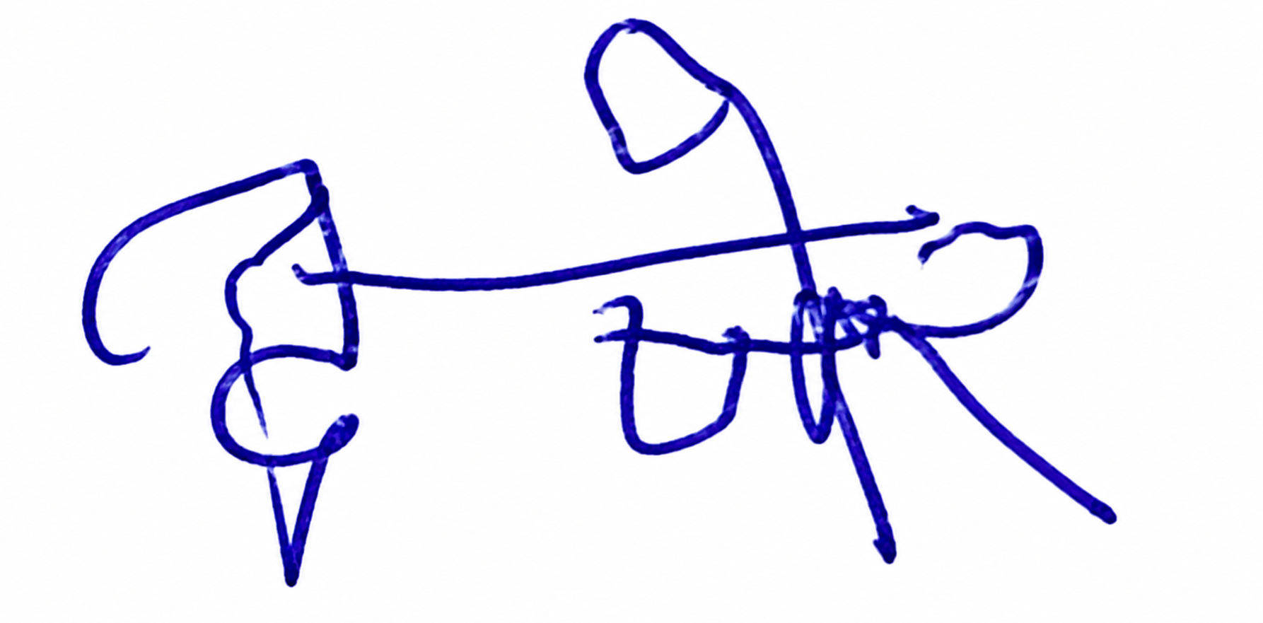Candidate Signature