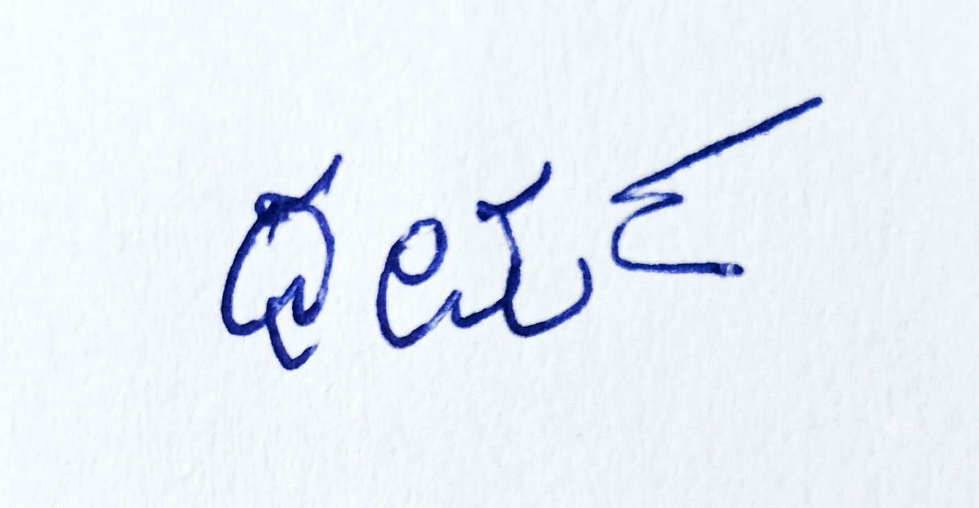 Candidate Signature