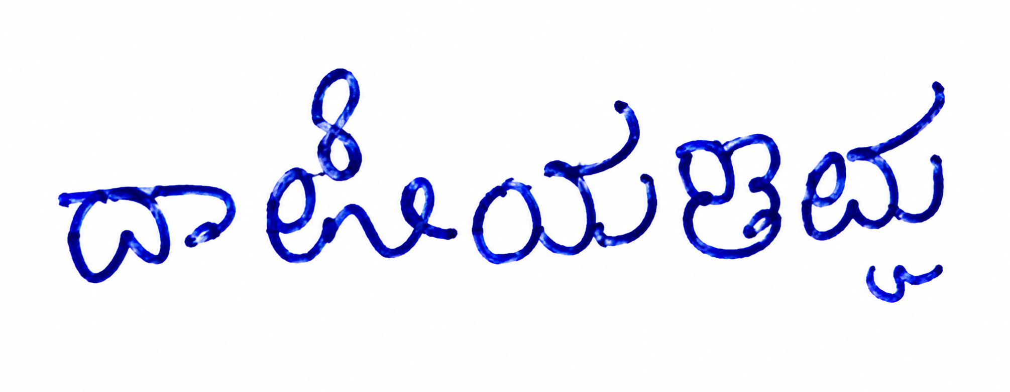 Candidate Signature