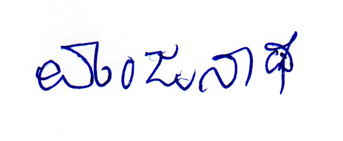 Candidate Signature