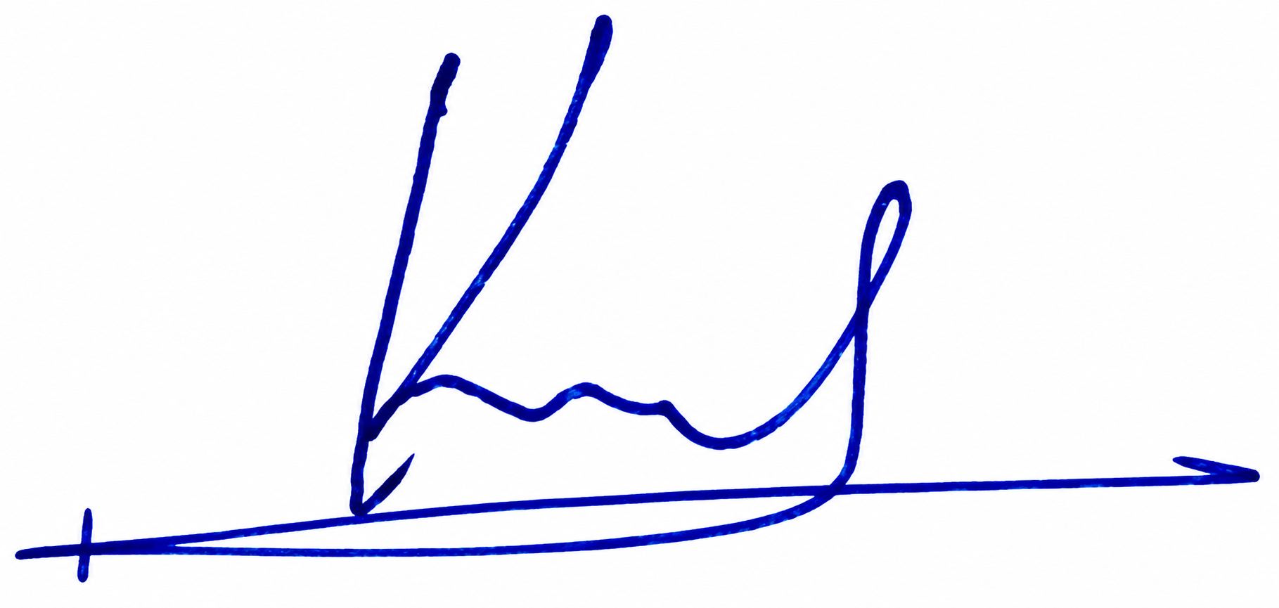 Candidate Signature