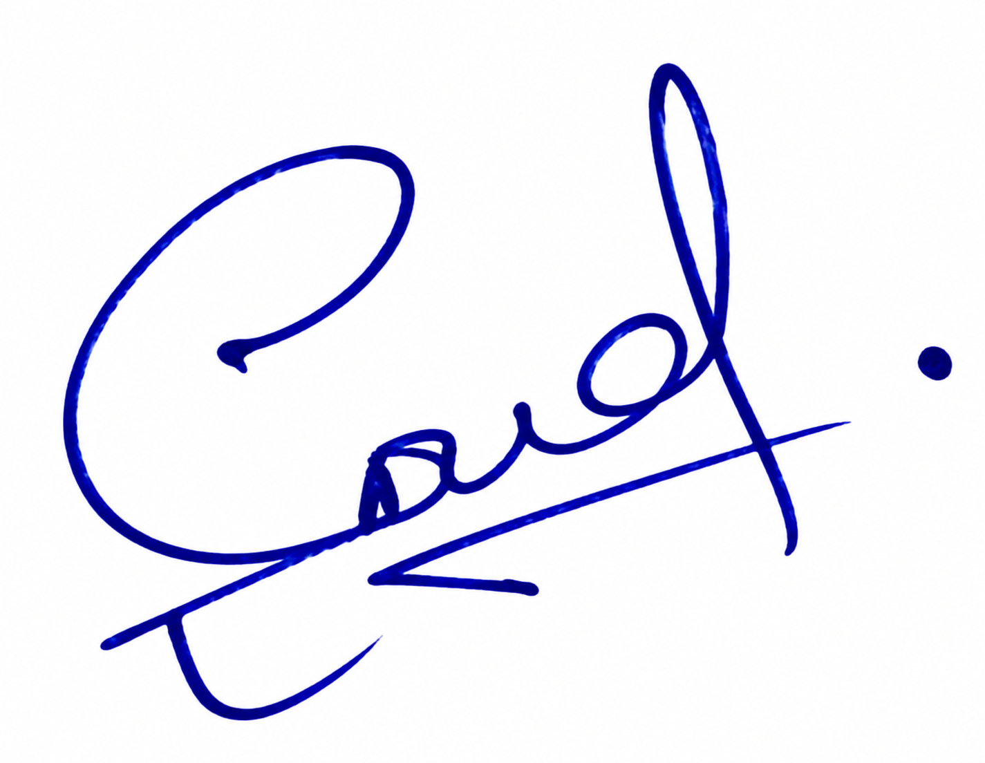 Candidate Signature