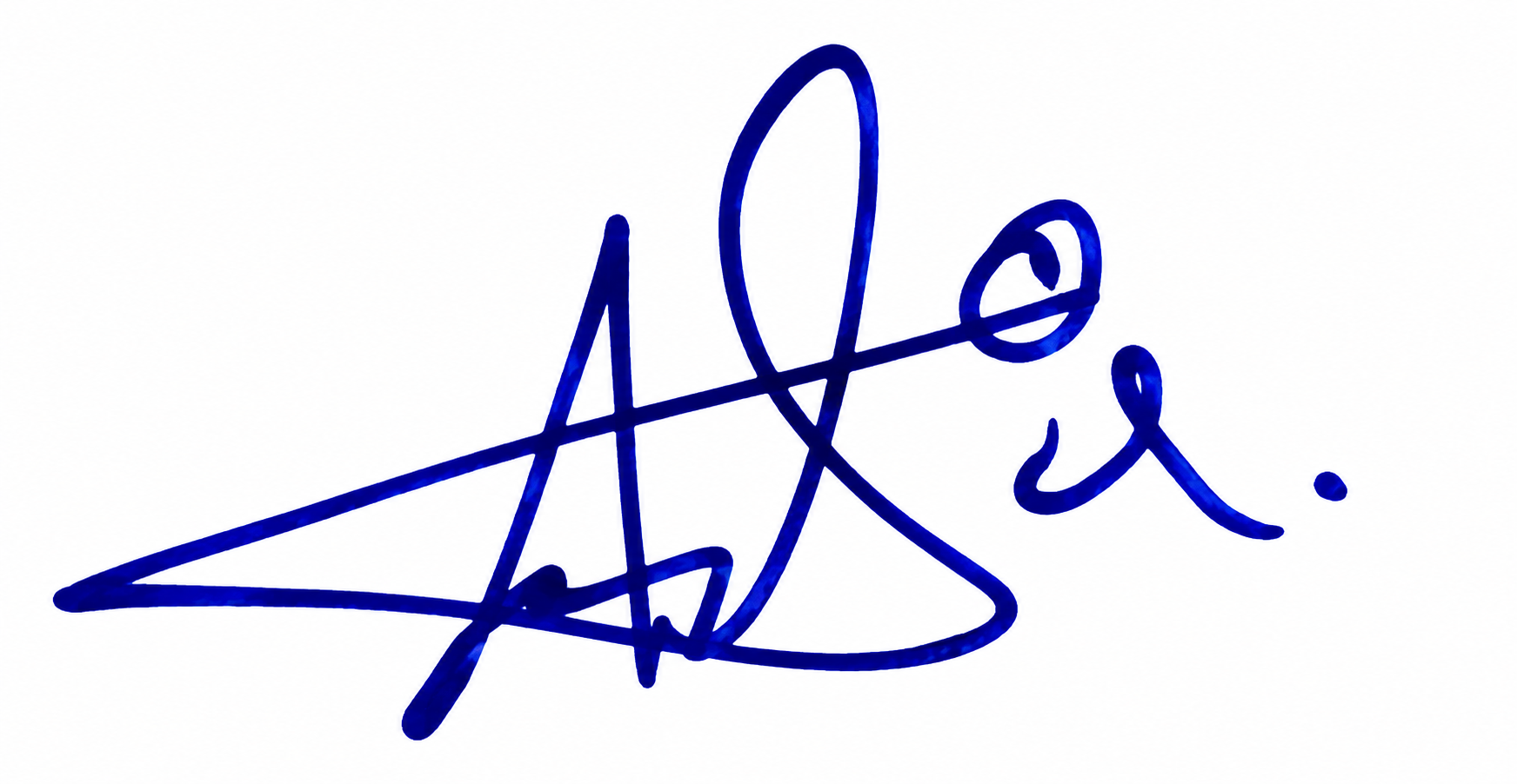 Candidate Signature