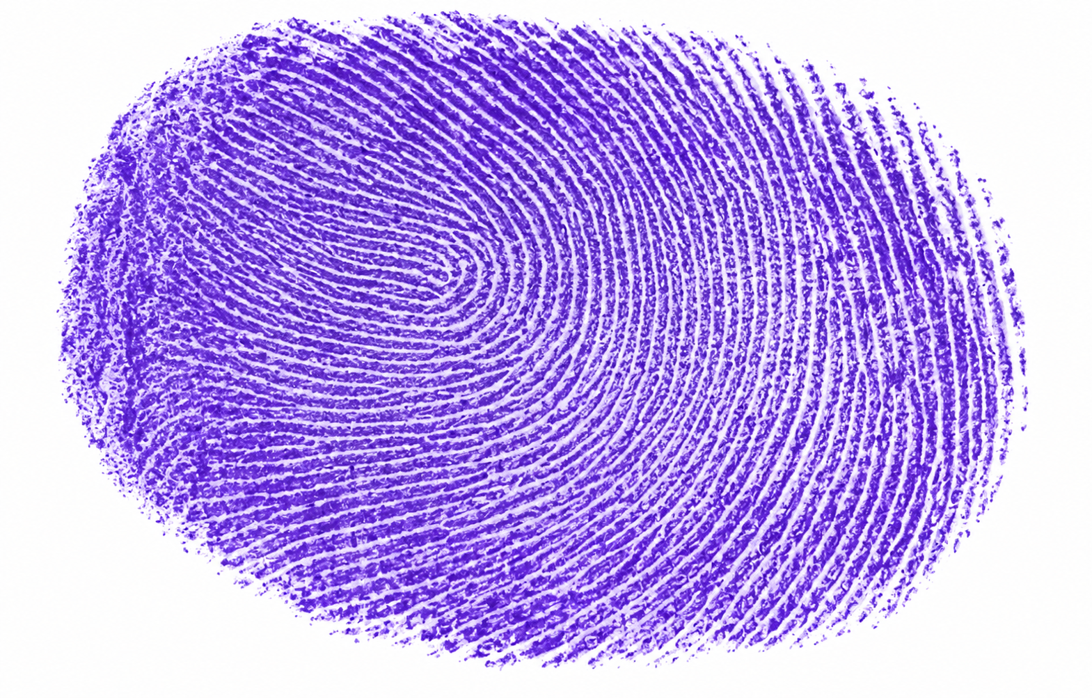 Candidate Signature