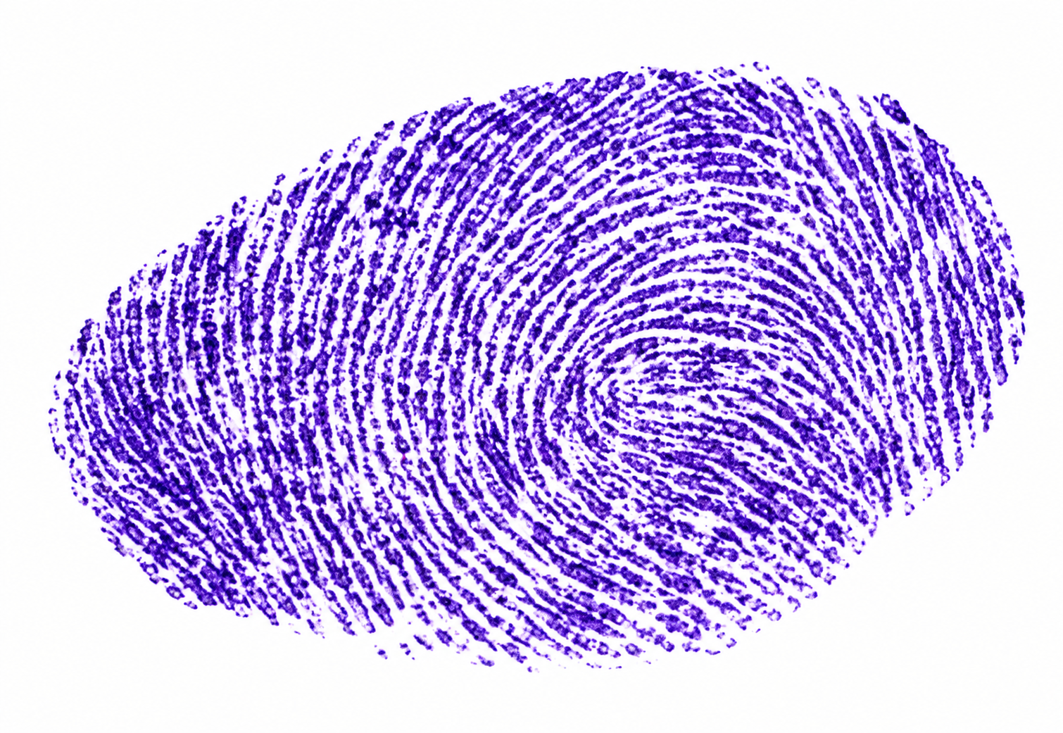 Candidate Signature