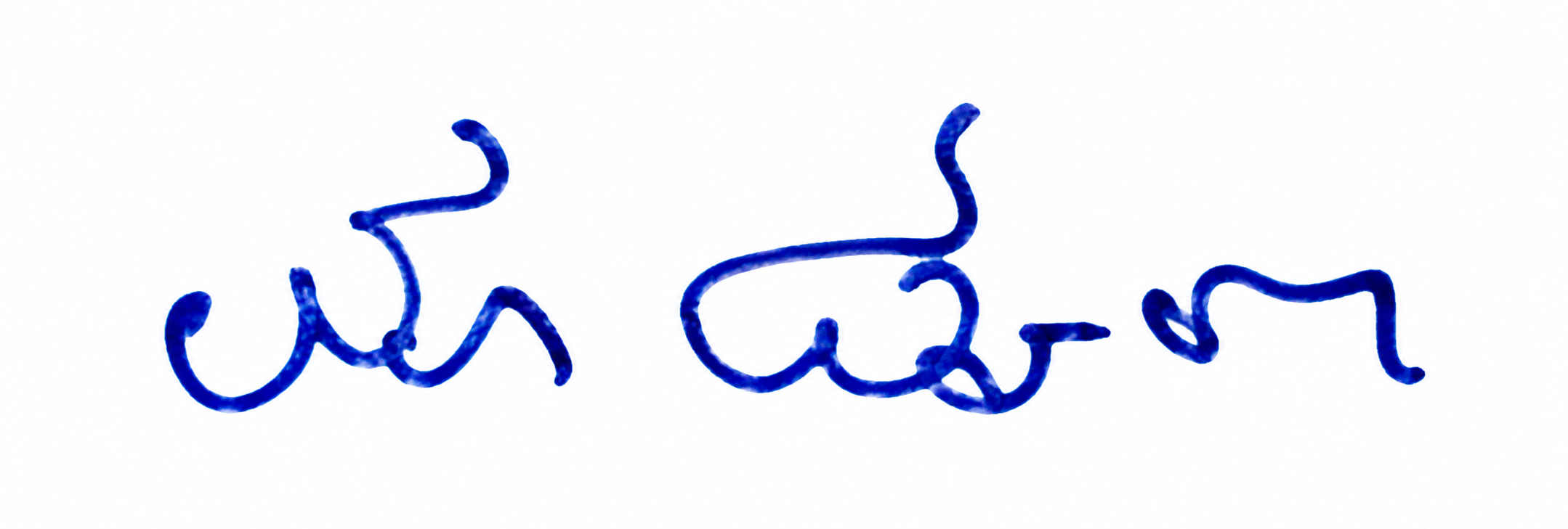 Candidate Signature