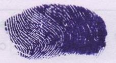 Candidate Signature