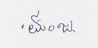 Candidate Signature