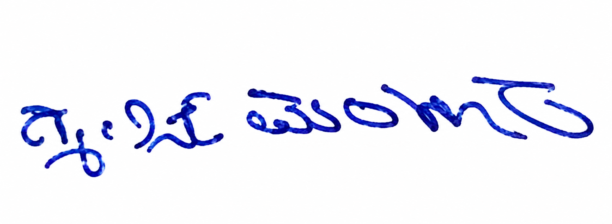 Candidate Signature