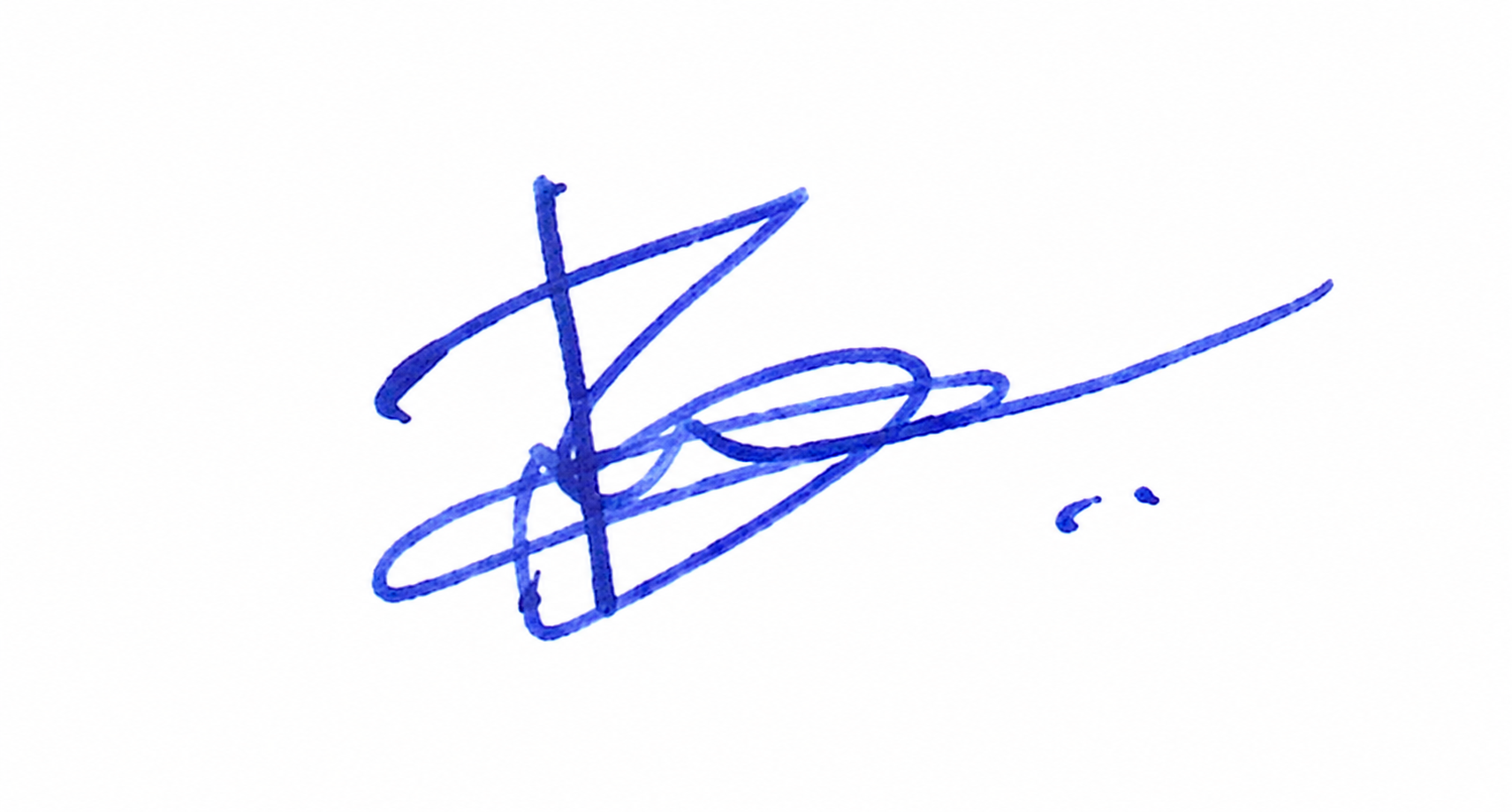 Candidate Signature