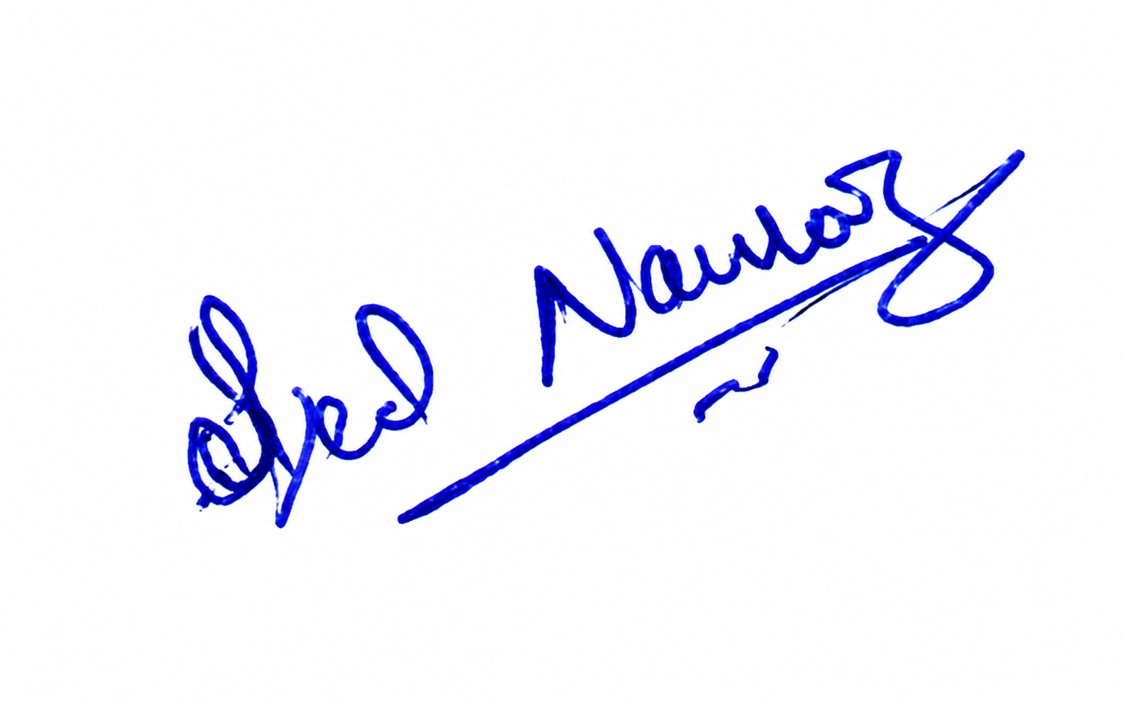 Candidate Signature