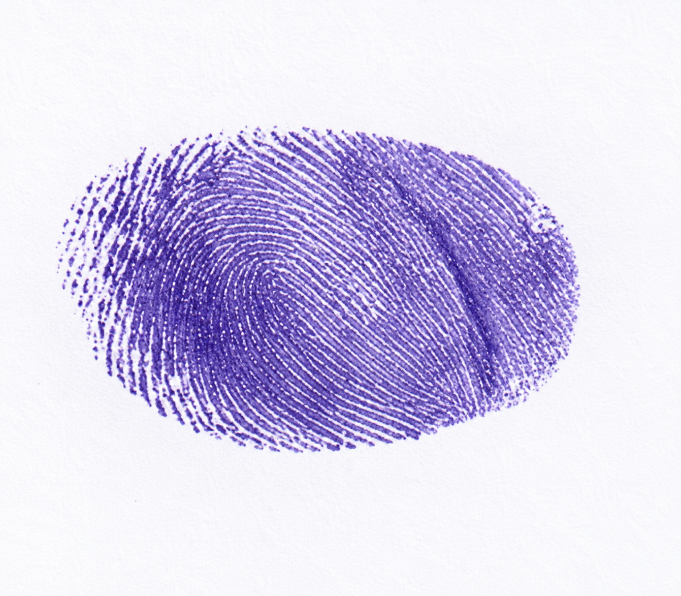 Candidate Signature