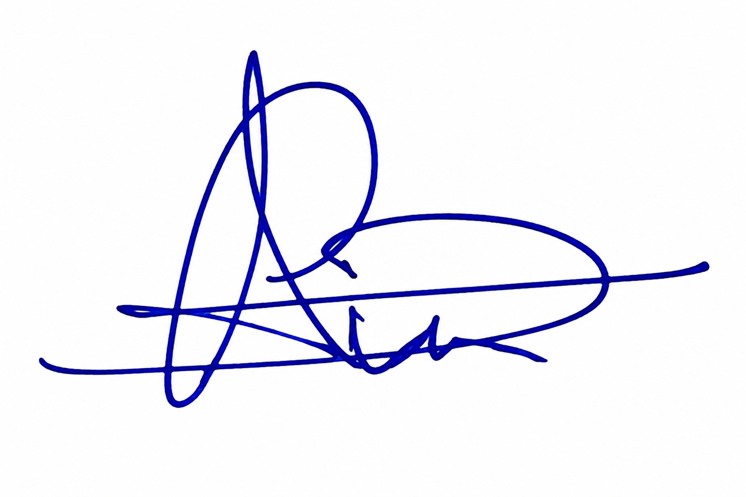 Candidate Signature