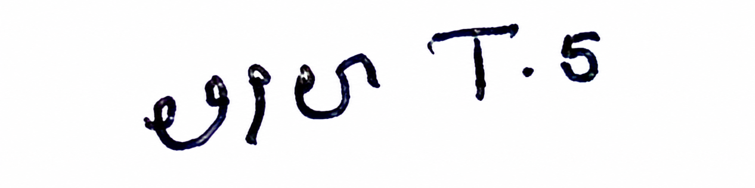 Candidate Signature
