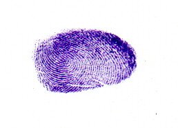 Candidate Signature