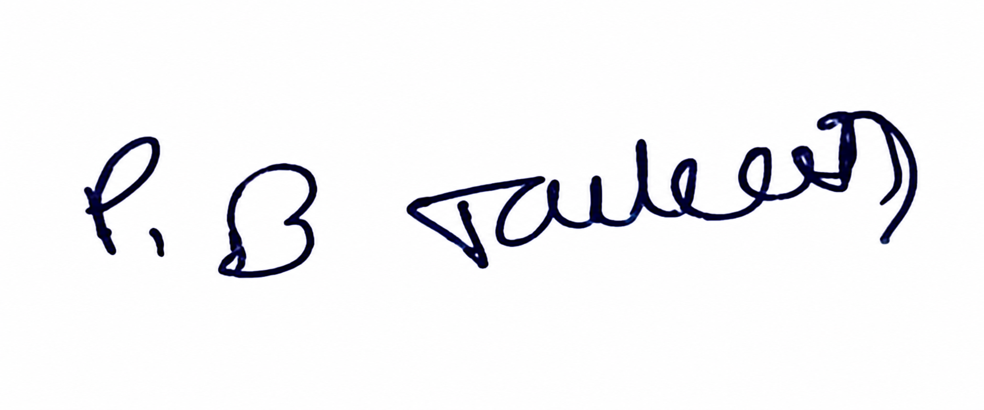 Candidate Signature