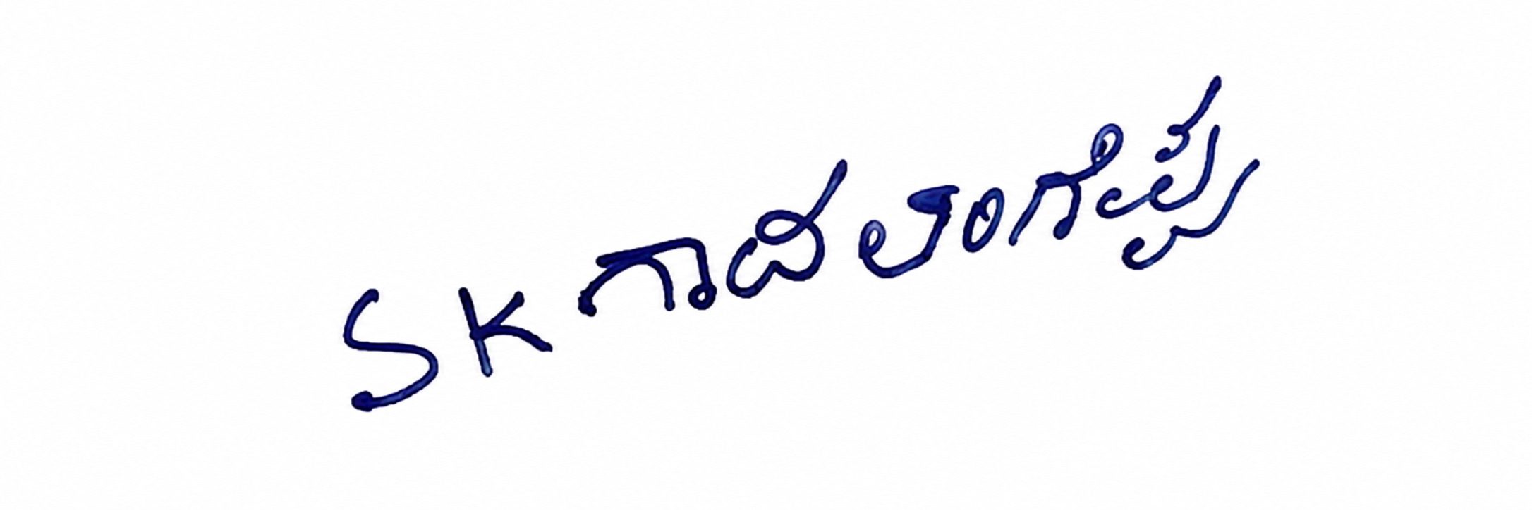 Candidate Signature