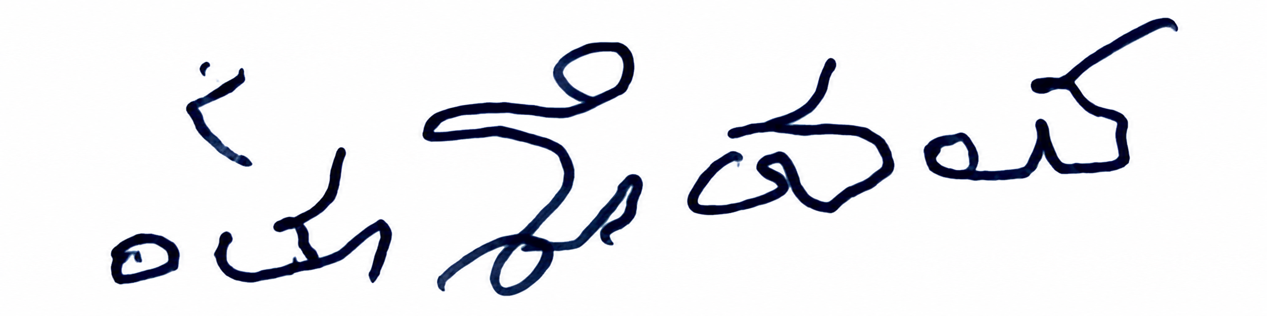 Candidate Signature