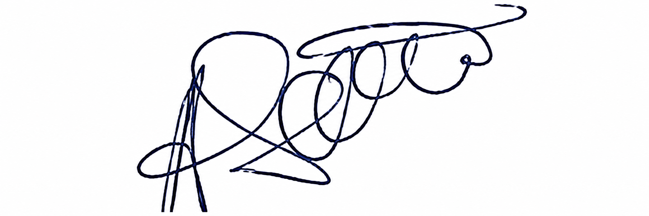 Candidate Signature