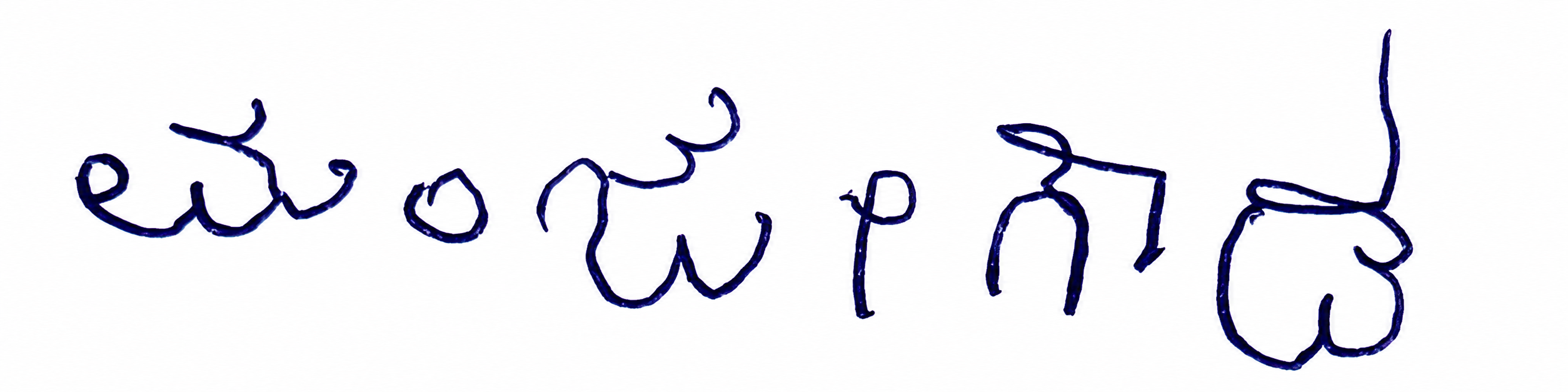 Candidate Signature