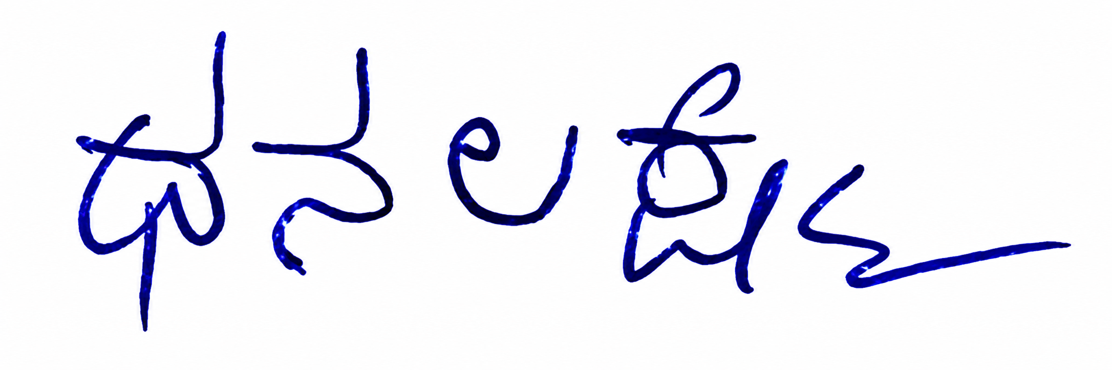 Candidate Signature