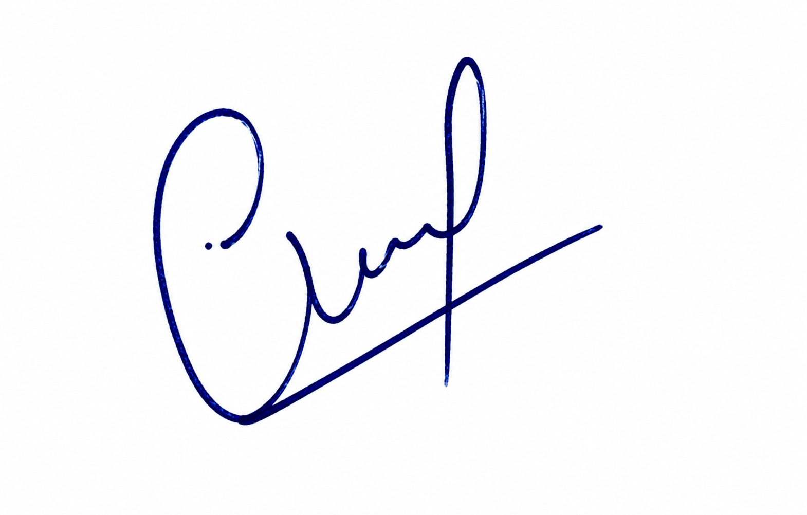 Candidate Signature