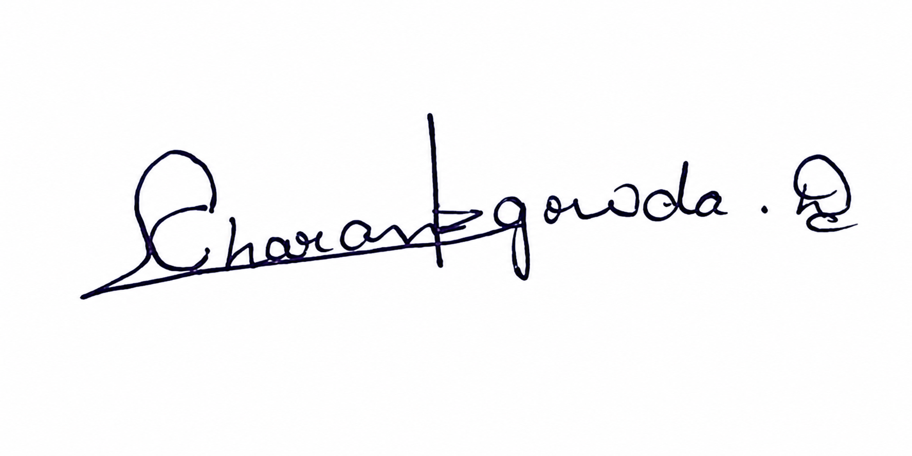Candidate Signature