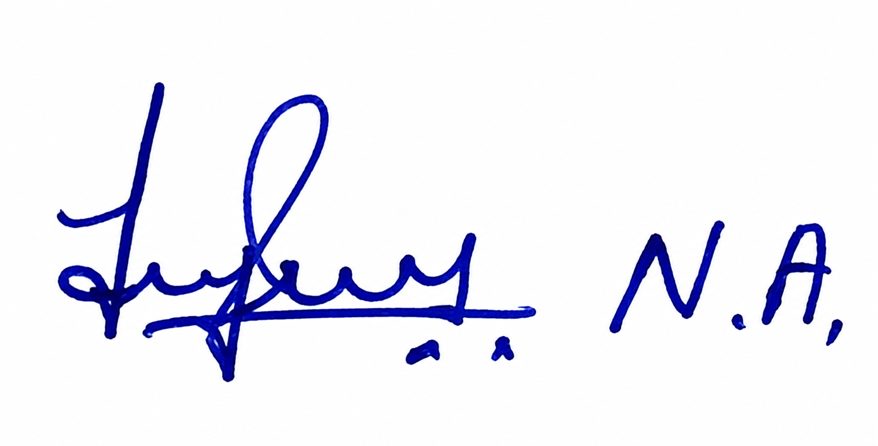 Candidate Signature
