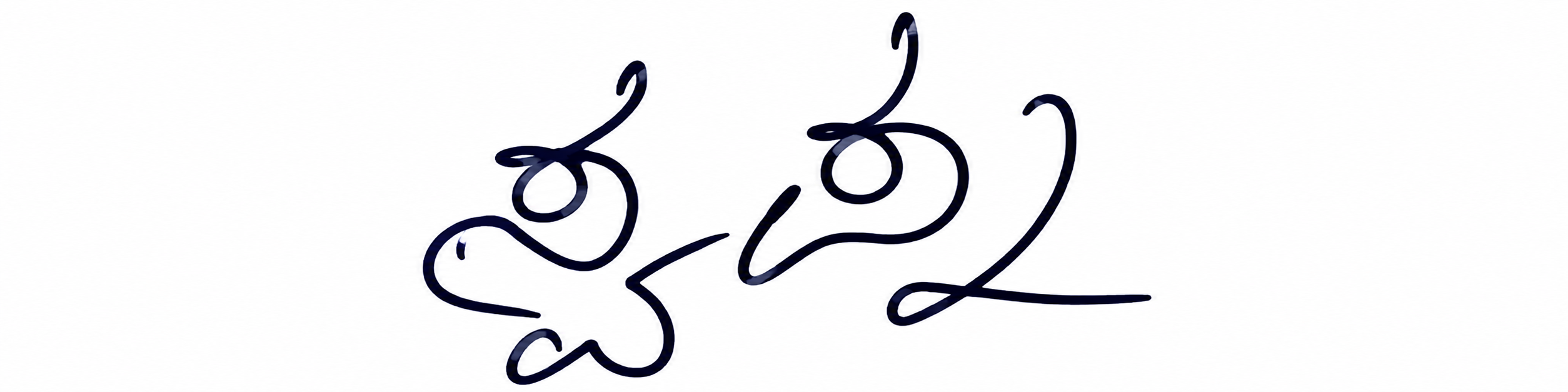 Candidate Signature