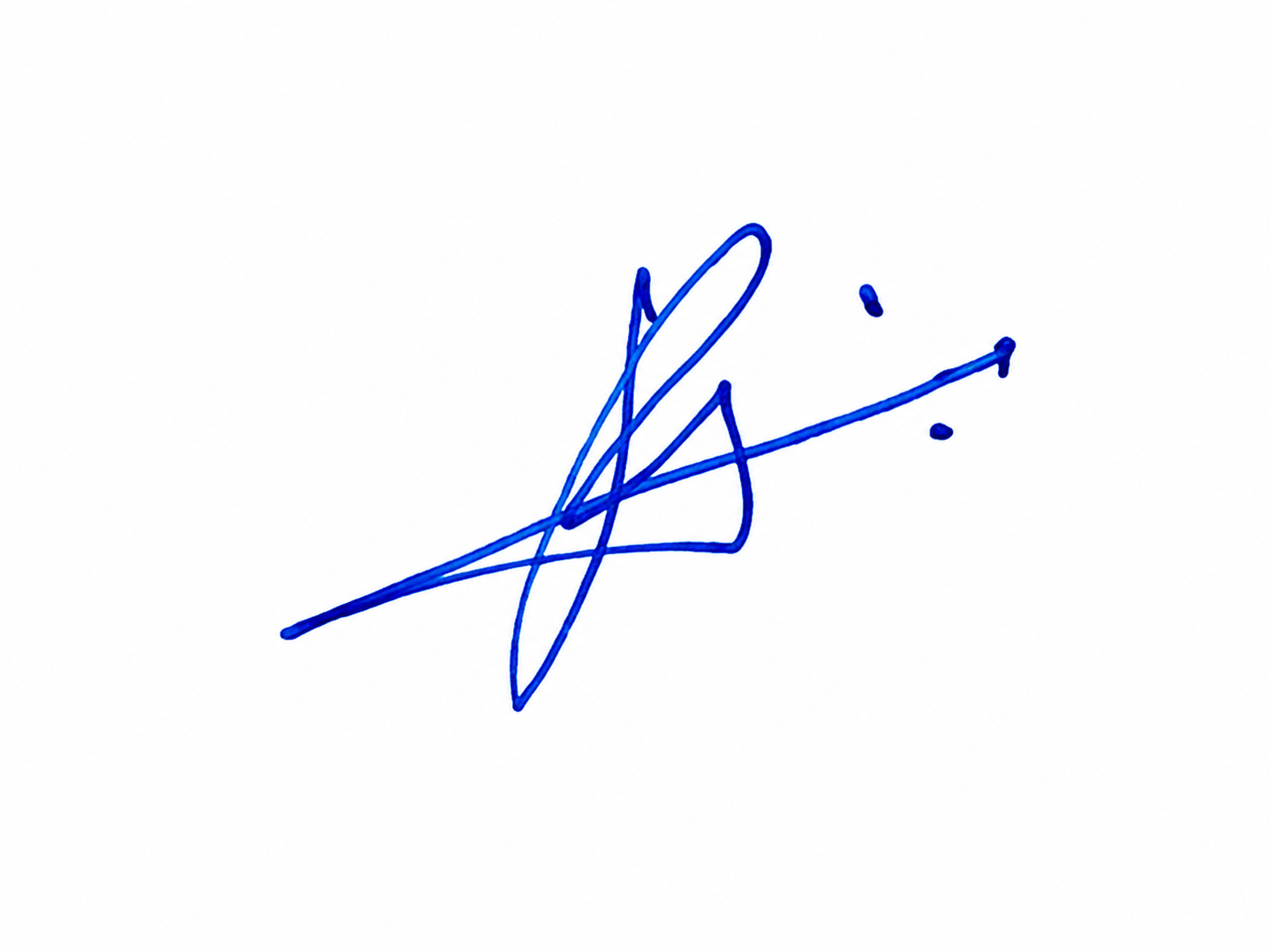 Candidate Signature