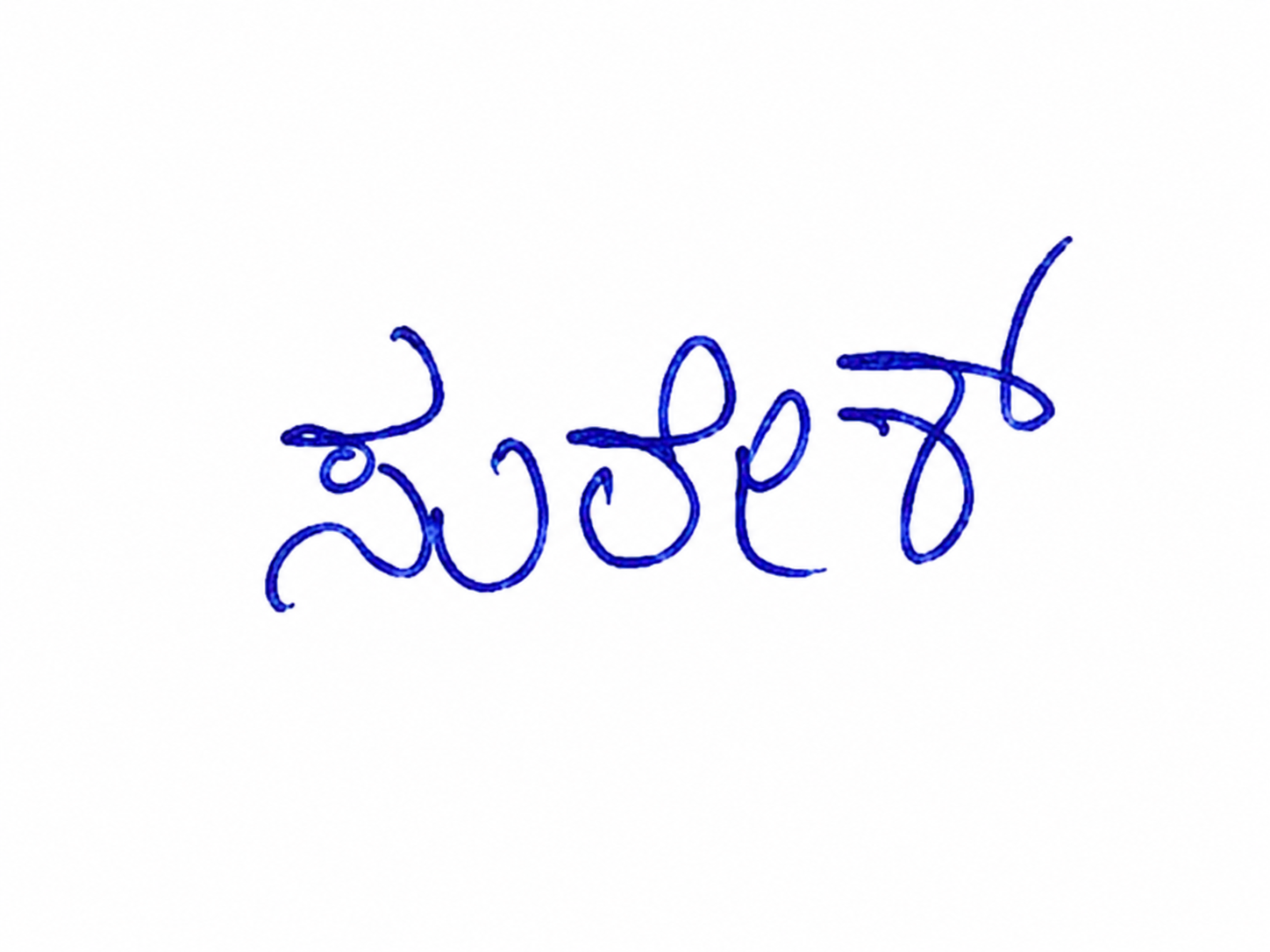 Candidate Signature