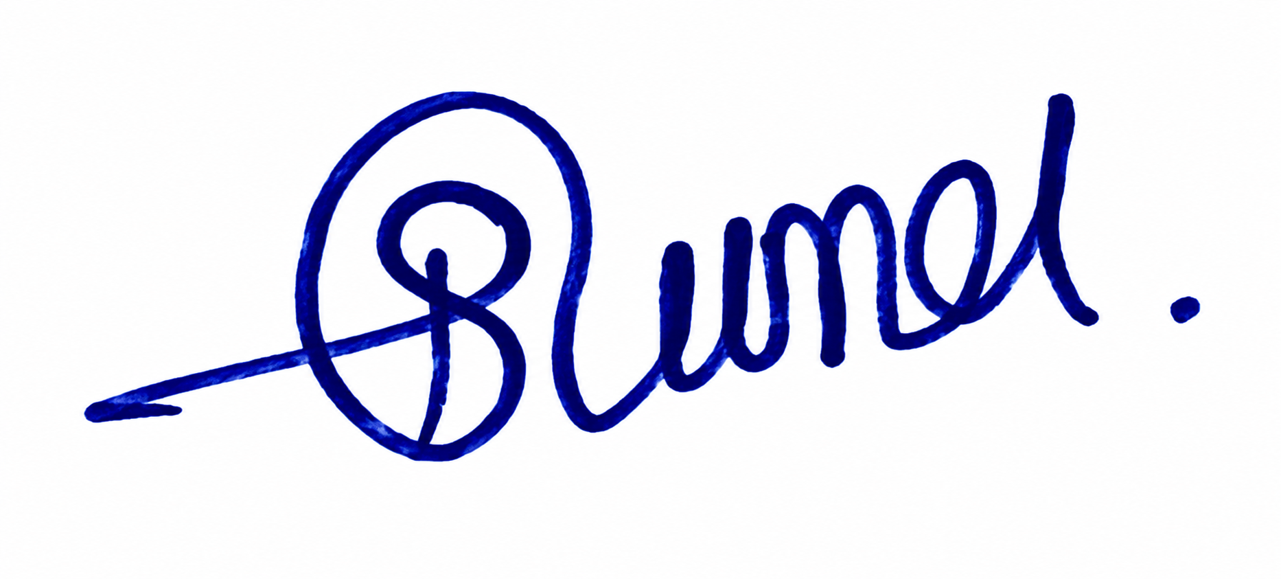 Candidate Signature