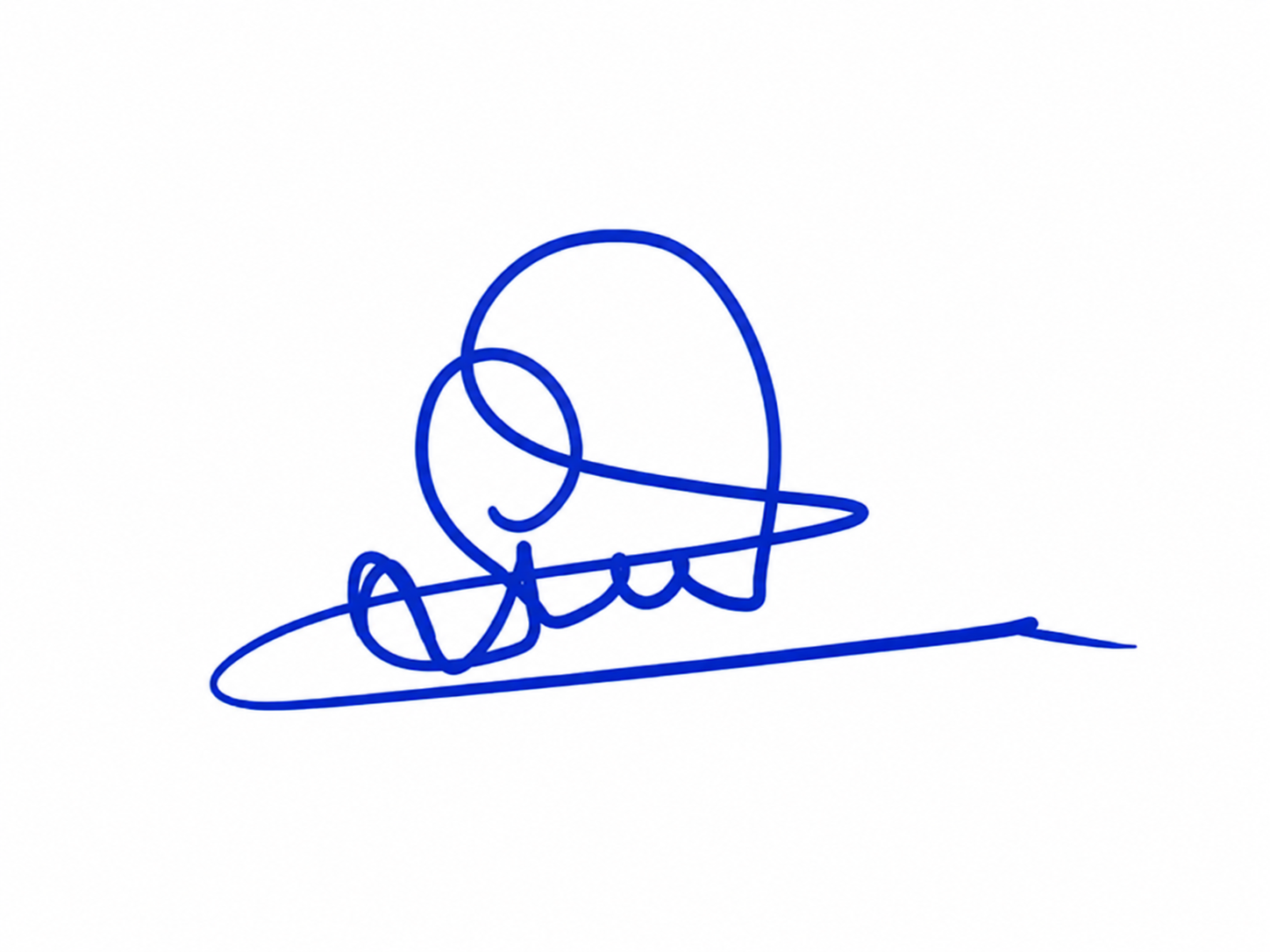 Candidate Signature