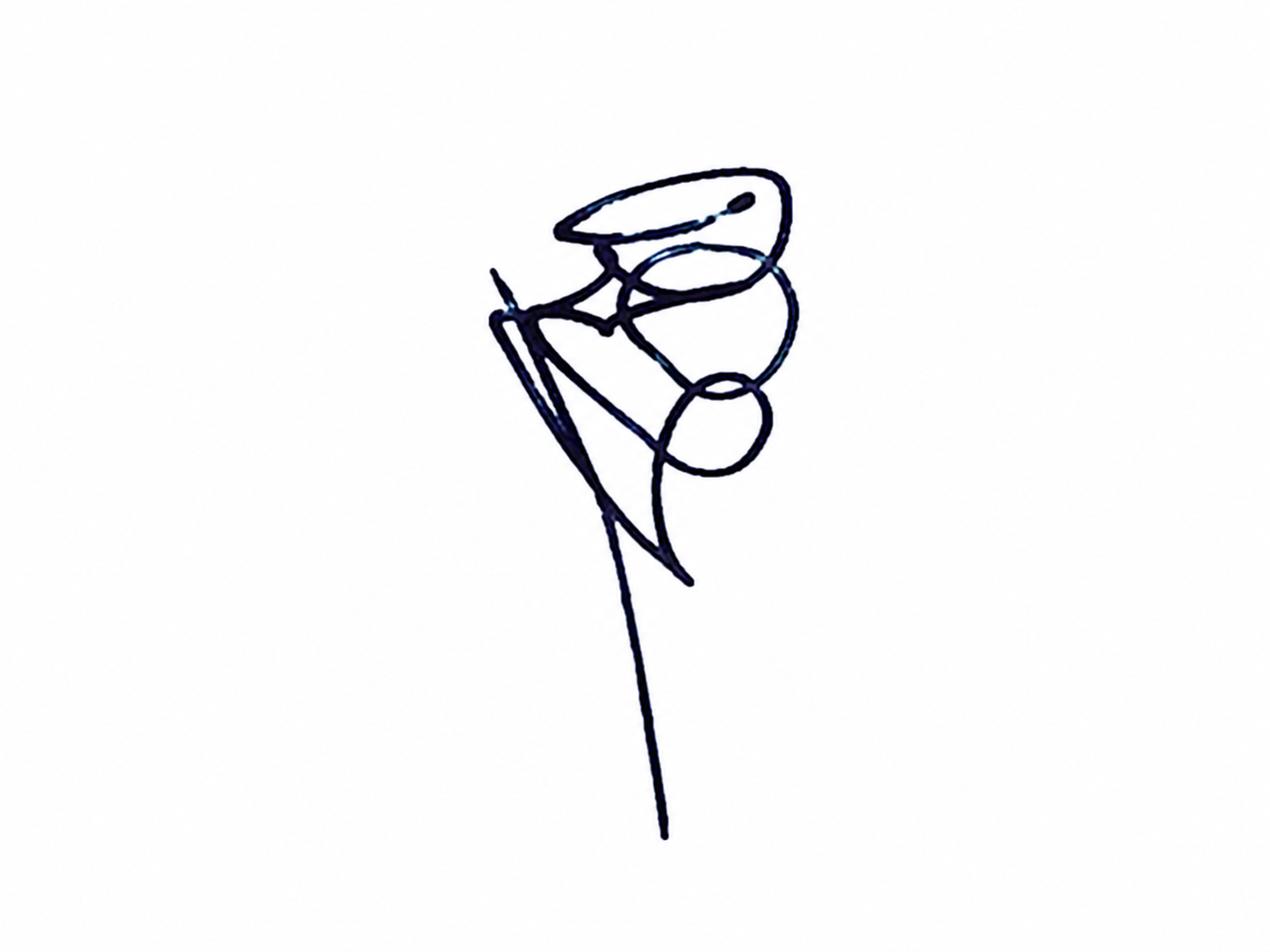 Candidate Signature