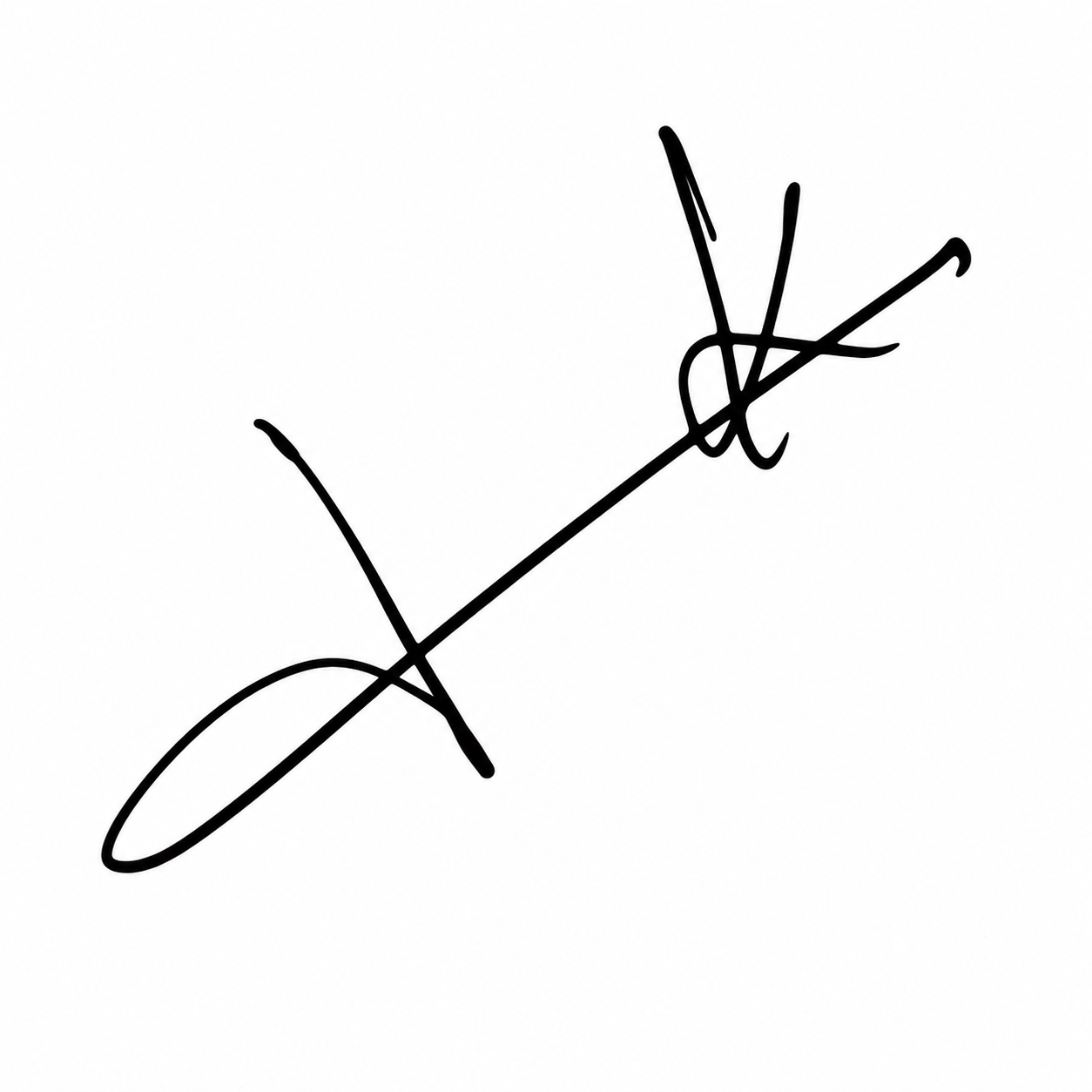 Candidate Signature