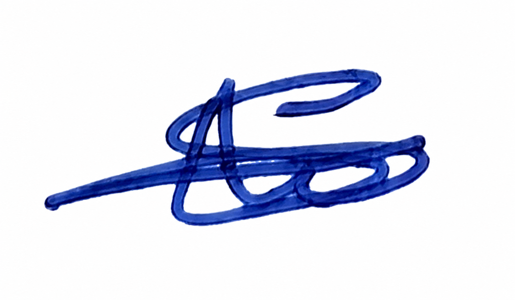 Candidate Signature