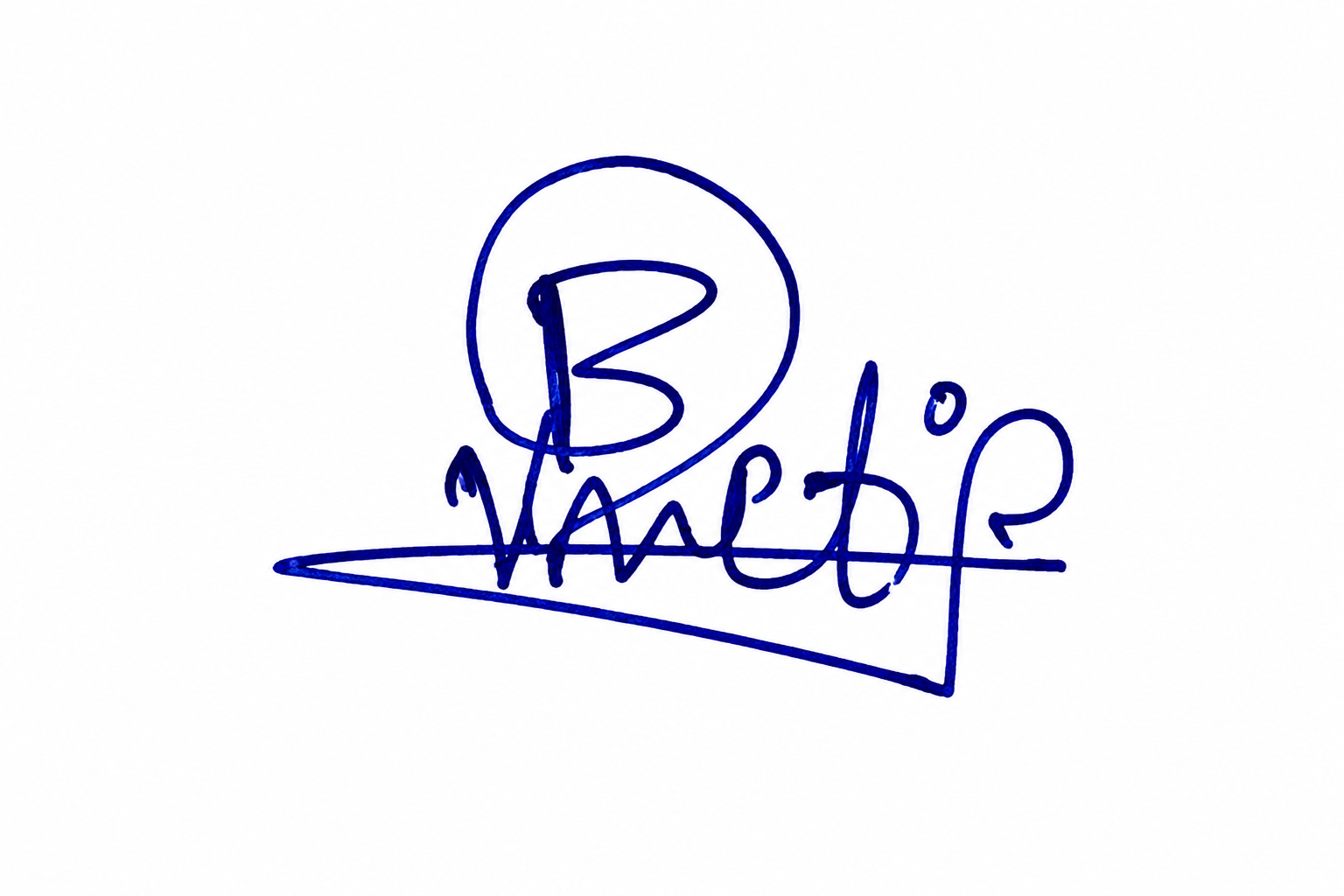 Candidate Signature