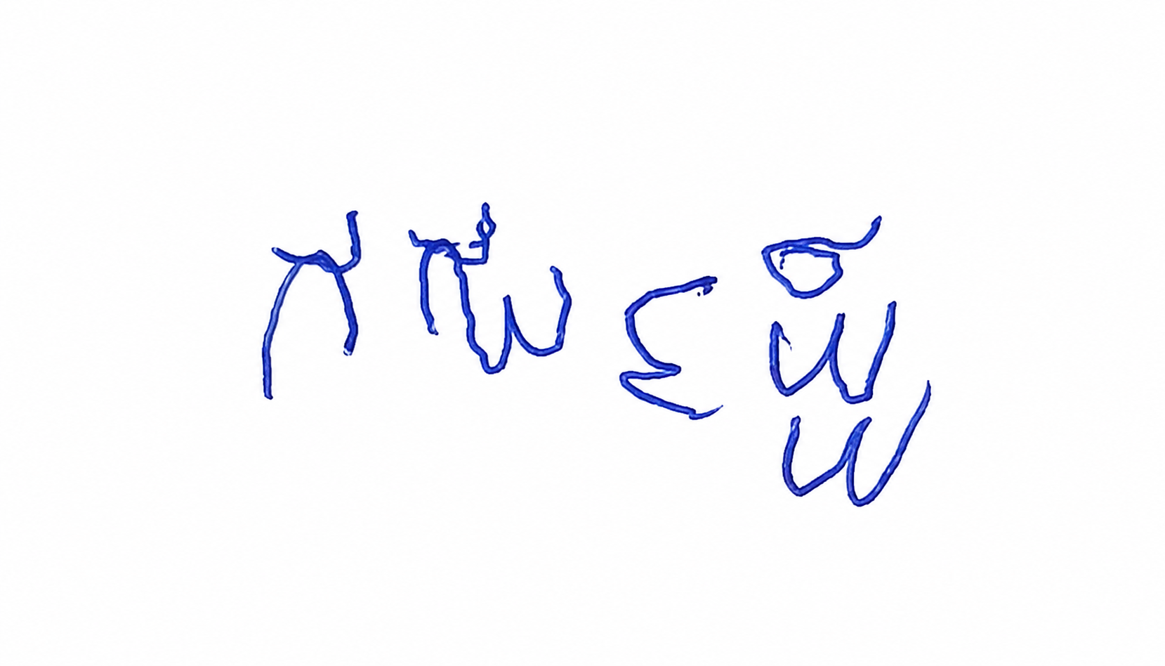 Candidate Signature