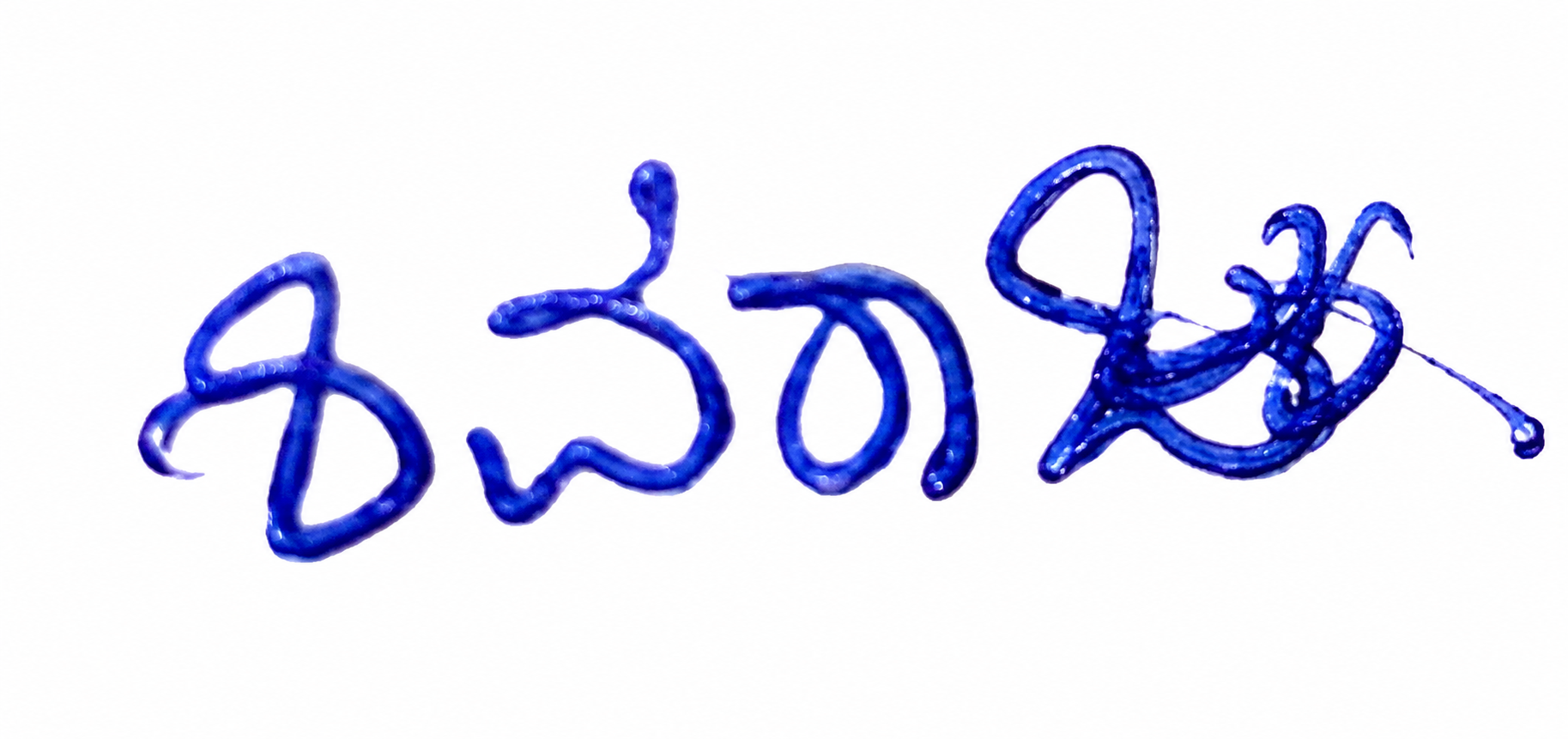 Candidate Signature