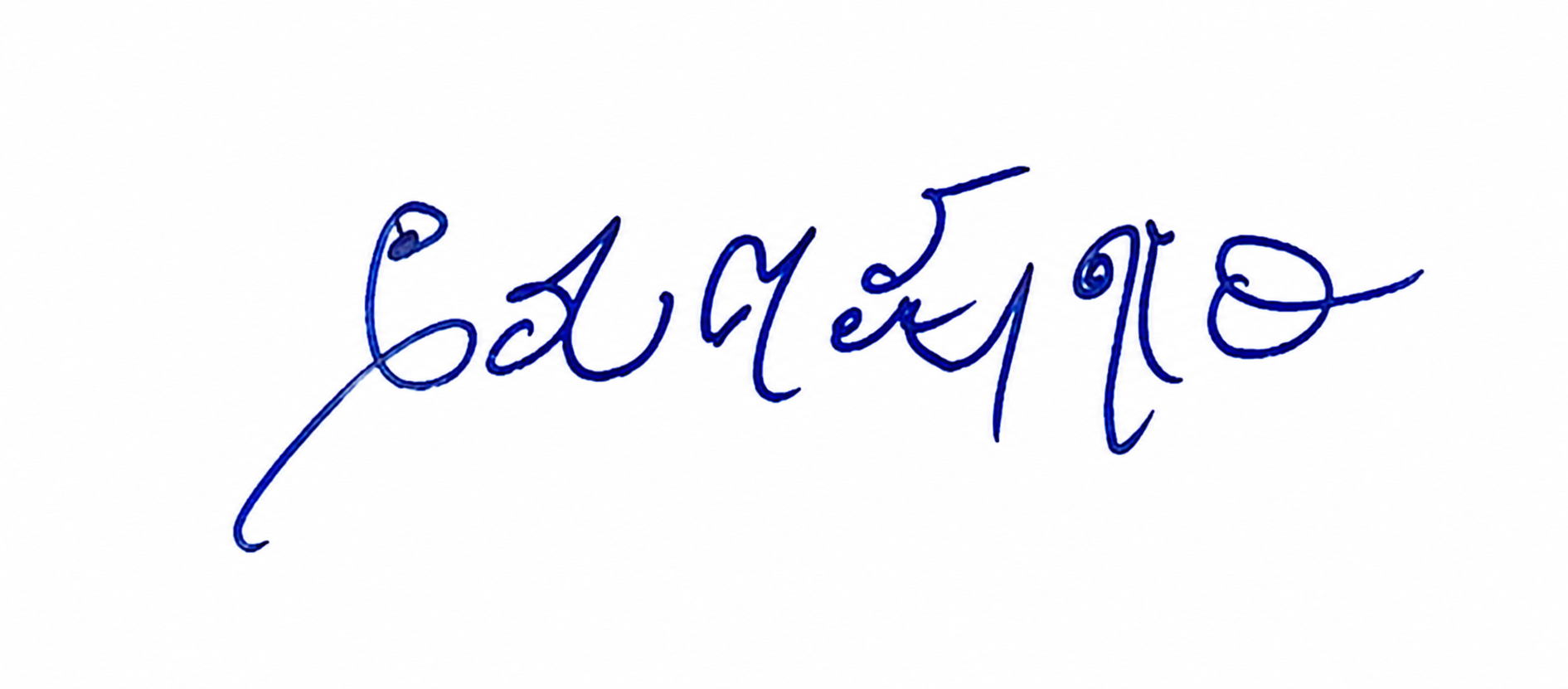Candidate Signature