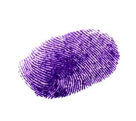 Candidate Signature