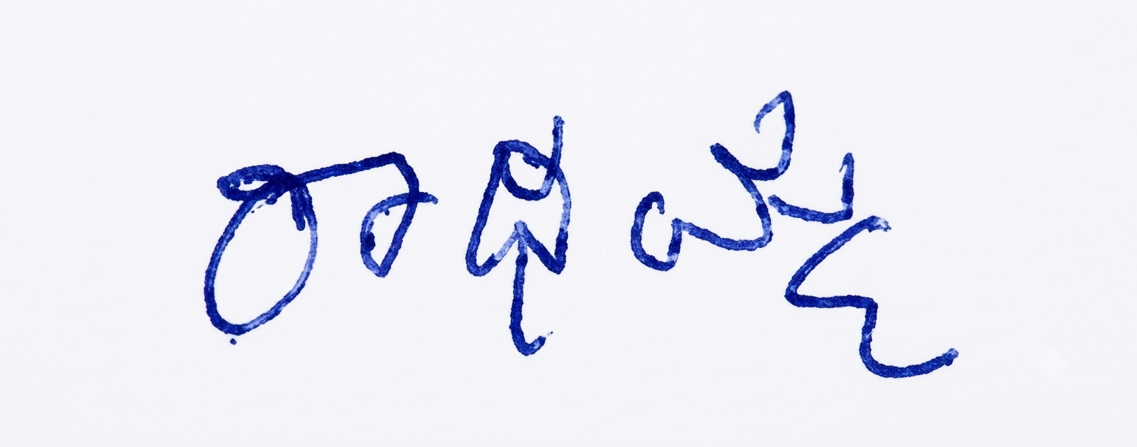 Candidate Signature