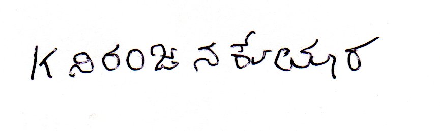 Candidate Signature