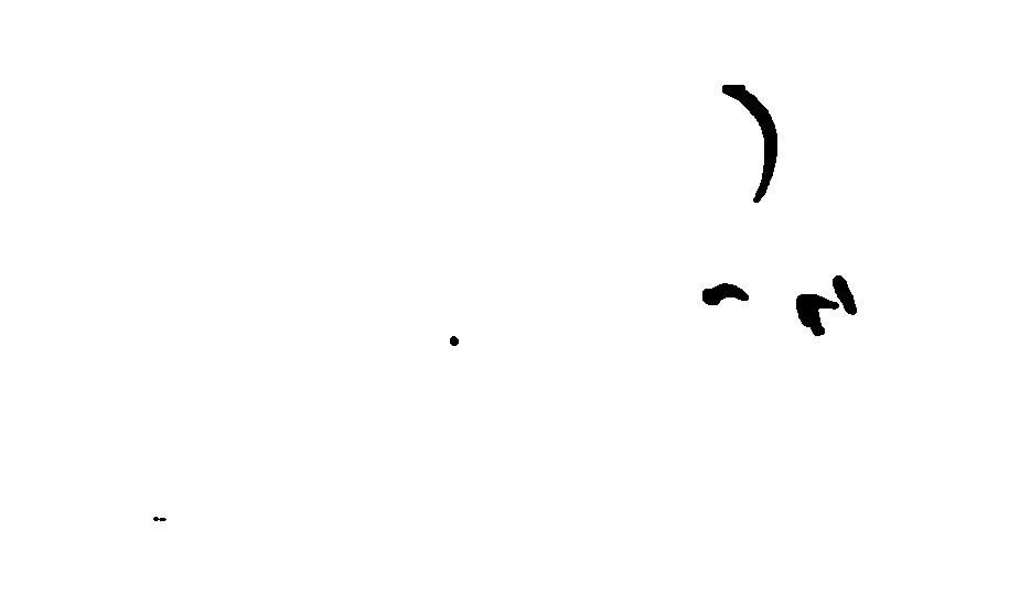 Applicant signature