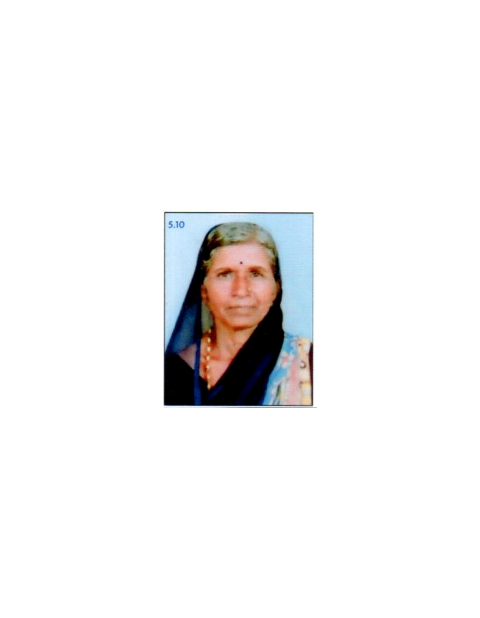 MADEVI SIDRAMAPPA HANCHINALA photo