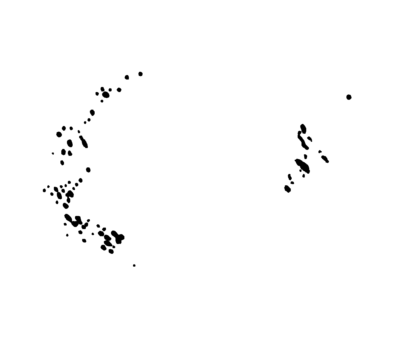 Applicant signature