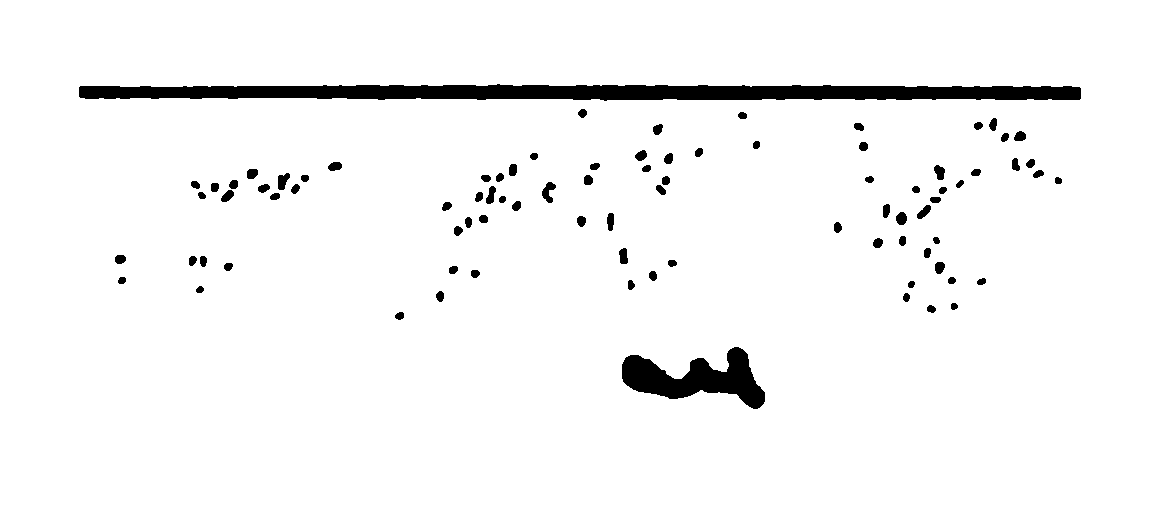 Applicant signature