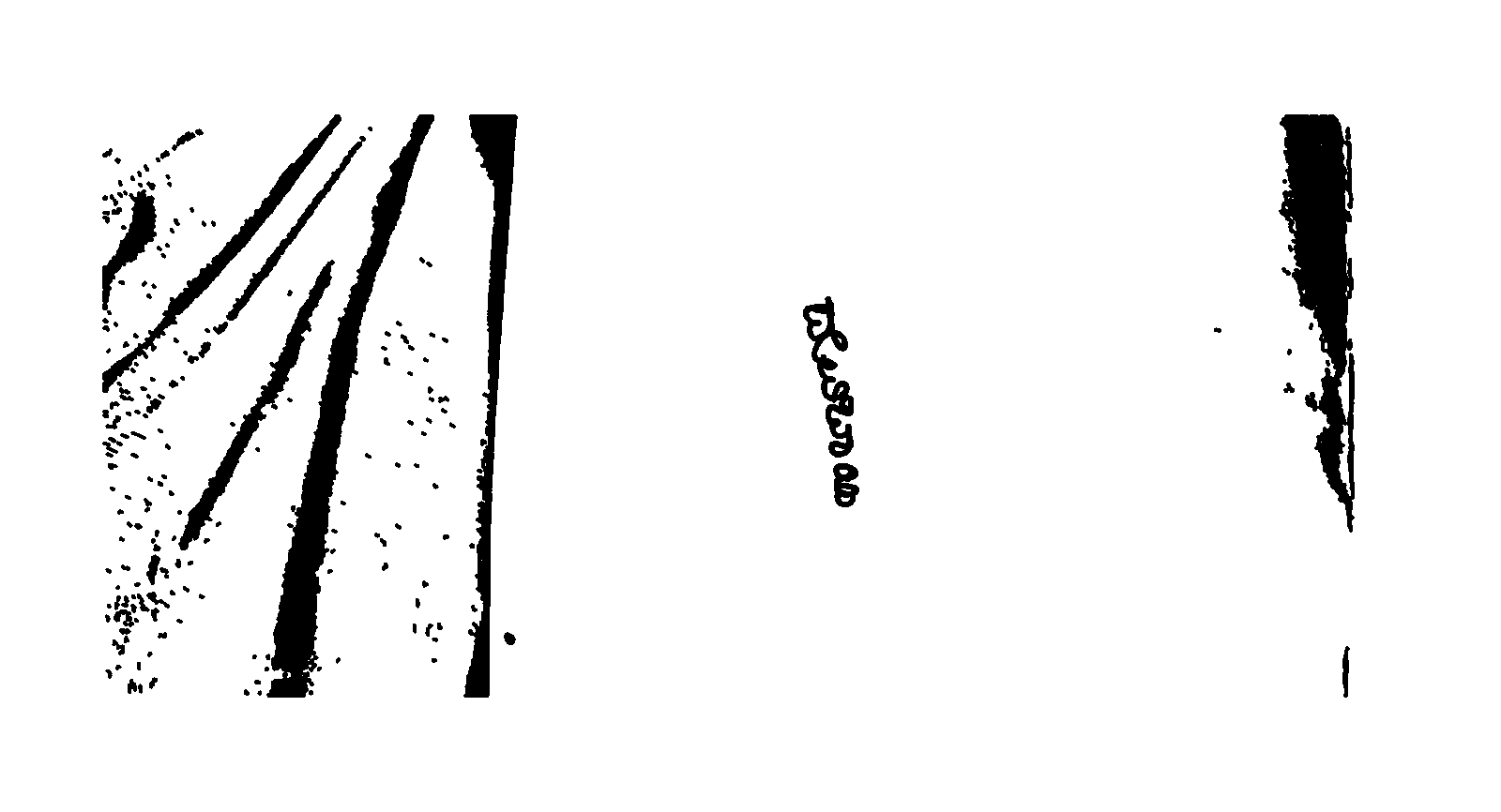 Applicant signature