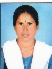 VEENA B K photo