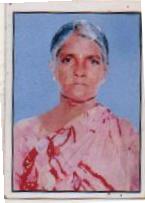 SUNKAMMA photo